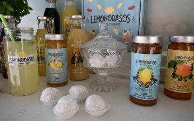 Lemonodasos : A sweet story inspired by the enchanting lemon forest of Poros