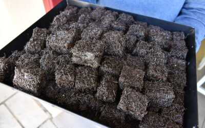 Nafplio surprises us with unique flavours of “loukoumi” traditional confections
